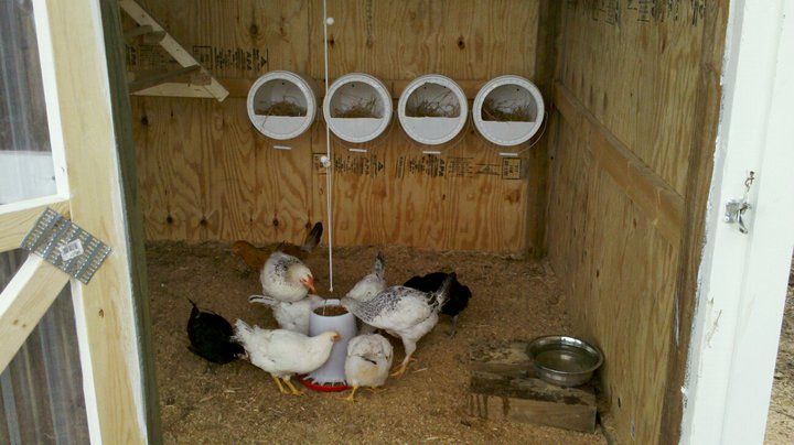 homemade chicken nesting boxes